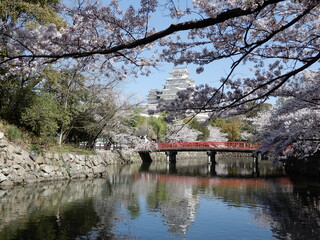 at Himeji zoo(near side castle)