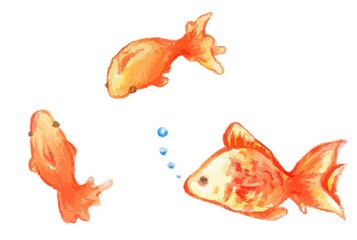 優しい手描きの赤色の金魚イラストセット