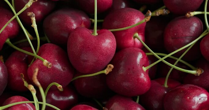 Fresh juicy red cherry berry