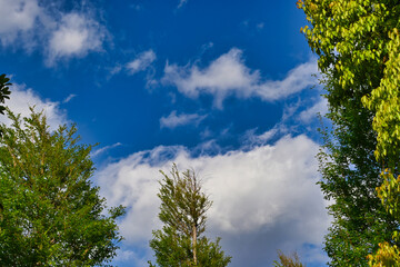 春の青空と雲