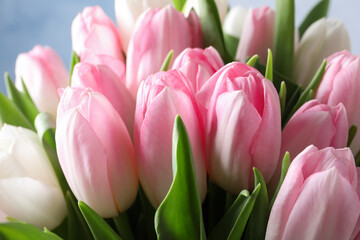 Obraz premium Big bouquet of beautiful tulips, closeup view
