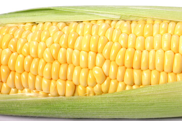 トウモロコシ　クローズアップ
