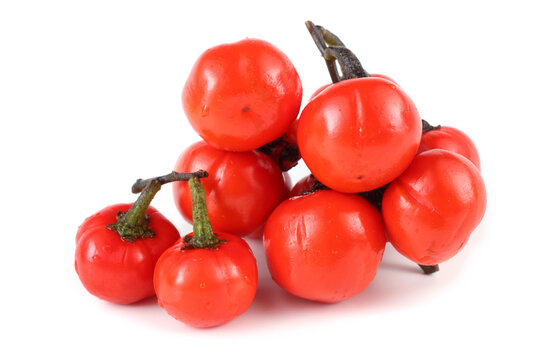 Ethiopian eggplant (African eggplant, Solanum aethiopicum, the bitter tomato, nakati)