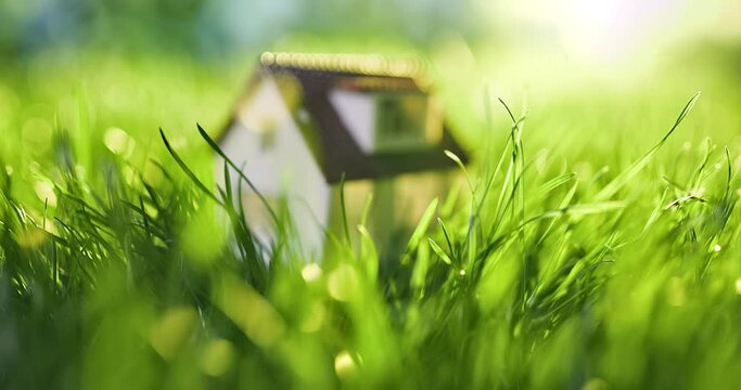 Model house in the meadow with grass