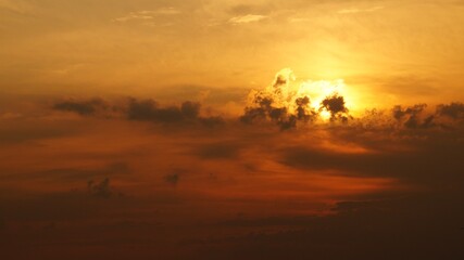 silhouette of a horse