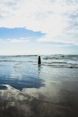 lonely piece of wood in the middle of the beach