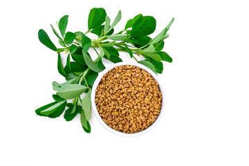 Fenugreek with green leaves in bowl top