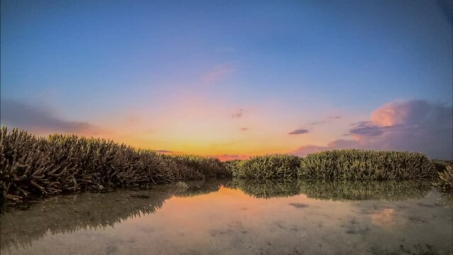 time lapse scenery sunrise above the coral reef coral reef emerges from the water at a reduced water level.during low tide we can see a lot of coral reef 