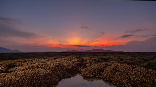 time lapse scenery red sky in sunrise above the coral reef coral reef emerges from the water at a reduced water level.during low tide we can see a lot of coral reef 