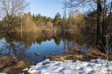 Spring flood. High water level in early spring. Trees lit by the sun stand in the water. Dry grass and snow in the foreground.