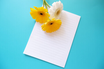  Flowers composition on blue background. yellow and white daisies and petals whit blank letter papers. Spring, summer, floral background for design. ガーベラと手紙、春と夏のグリーティング