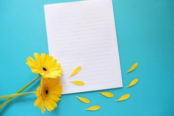  Flowers composition on blue background. yellow and white daisies and petals whit blank letter papers. Spring, summer, floral background for design. ガーベラと手紙、春と夏のグリーティング