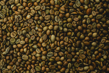 Coffee bean. Close up coffee beans background. Green bean coffee.