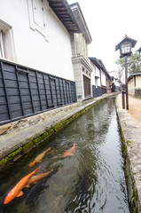 Setogawa Canal in Hida Furukawa town, Gifu prefecture, Japan.