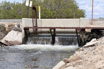 Flood plain surrounded by trees under the sunlight in Northern Cape Province