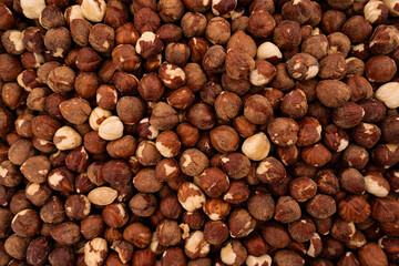 Hazelnuts as an abstract background texture