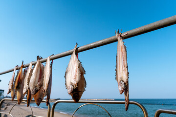 Drying fish, Dried fish, Sun drying