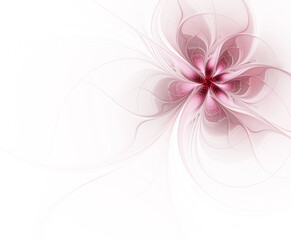 Abstract fractal cherry flower on white background