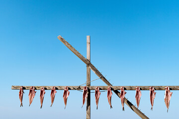 Drying fish, Dried fish, Sun drying