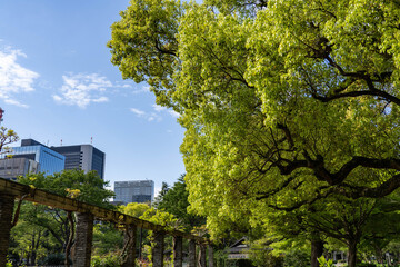 日比谷周辺散策
