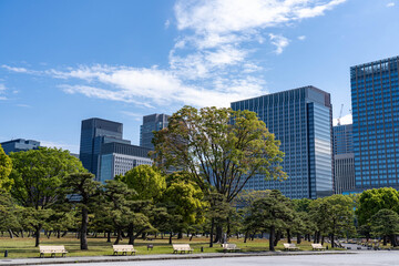 皇居周辺散策 © 1-Polly