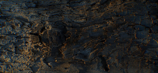 Rotten wood texture