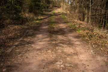 Obraz premium Römerstraße an der Autobahn A6 Wattenheim