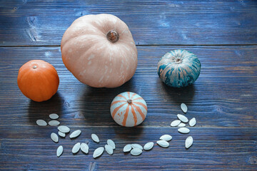 Colorful pumpkins and pumpkin seeds on rustic table. Color tinting