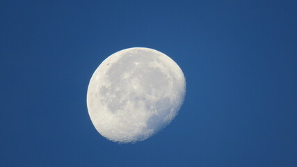 The moon  © Massimo