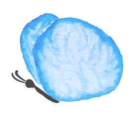 Set of beautiful butterflies wit colorful wings