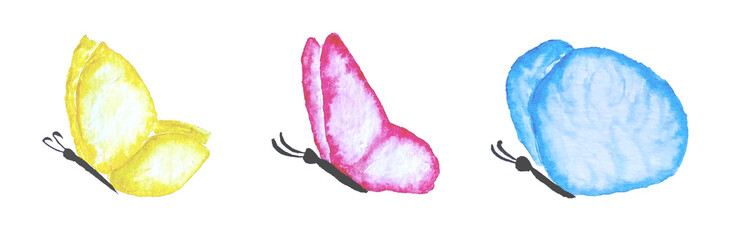 Set of beautiful butterflies wit colorful wings