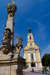 Fototapeta na wymiar The Catholic temple of Szekszard in Hungary