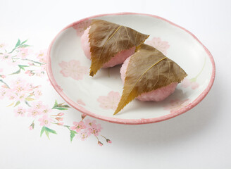 餅　春イメージ　和菓子