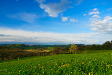 Fototapeta premium Spring landscape with green field and blue sky with few clouds