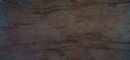 Naklejka na ściany i meble Rotten wood texture
