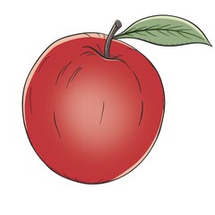 red apple colored drawing isolated illustration