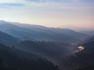 Fototapeta premium beautiful landscape nature of rain forest and mountain. abundance evergreen forest and foggy. tropical forest of thailand.