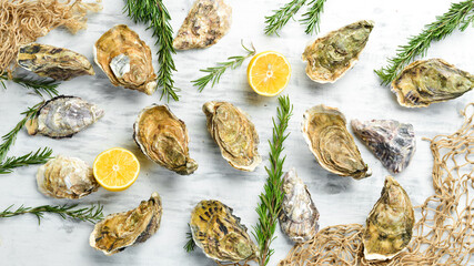 Closed fresh oysters on a white wooden background. Free space for your text. Seafood. Flat lay.