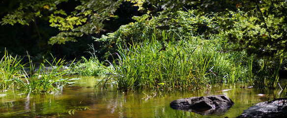 Schönes Mecklenburg-Vorpommern: Rund um Warin/Labenz