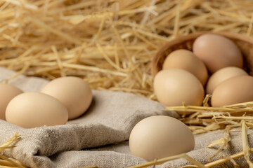 Fresh chicken eggs on the farm. Organic wholesome food concept . Copy space.