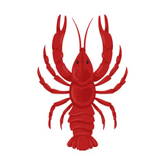 Boiled fresh red river crayfish with pincers. A crustacean animal. Food ingredient, delicacy. Flat cartoon vector illustration isolated on a white background.
