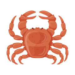 Fresh crab with claws. Marine and river crustacean animals. Food ingredient, delicacy. Flat cartoon vector illustration isolated on a white background.