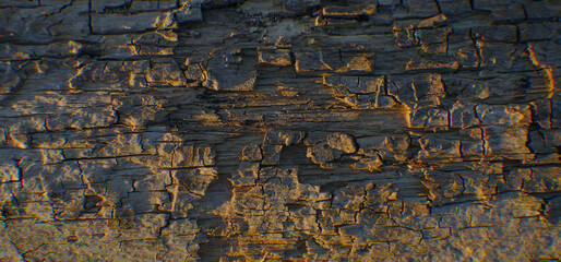 Rotten wood texture