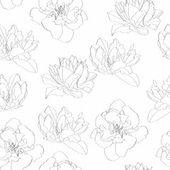 Seamless pattern with line tulips flowers silhouette on white background.