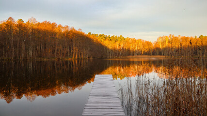 Biosph&auml;renreservat Schorfheide-Chorin, Germany