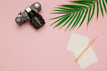 The camera, a notebook with a pencil and a leaf of a palm tree lies on a pink background with empty...