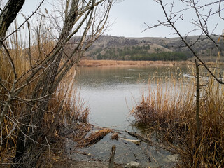 Lake view through reeds and tree branches