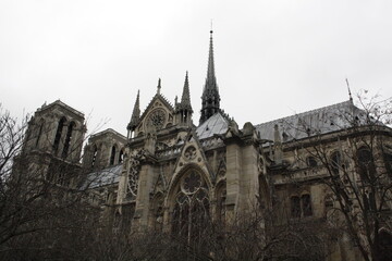 Fototapeta na wymiar a full length photo of Notre Dame, Paris.
