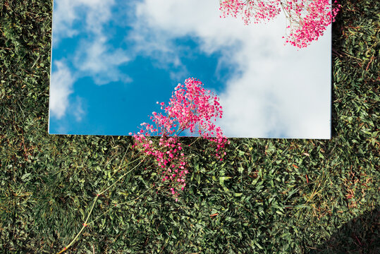 Amazing Flat Lay With The Sky On A Mirror, Pink Flowers And Grass