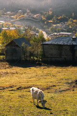 Mestia village landscape, popular tourist destination in Georgia - 426973003